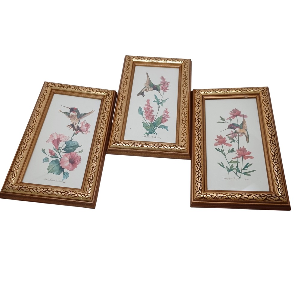 Carolyn Shores Wright Hummingbird Framed Art Prints Set of 3 Gold Ornate 1990s
